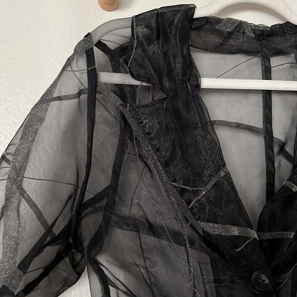 VINTAGE | Sheer Organza Longsleeve Button Up | medium - Picture 3 of 5